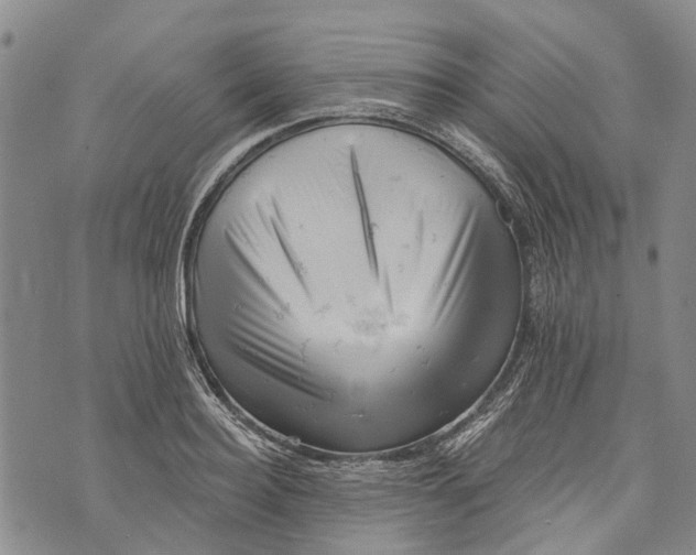 X0000072920940200608111507