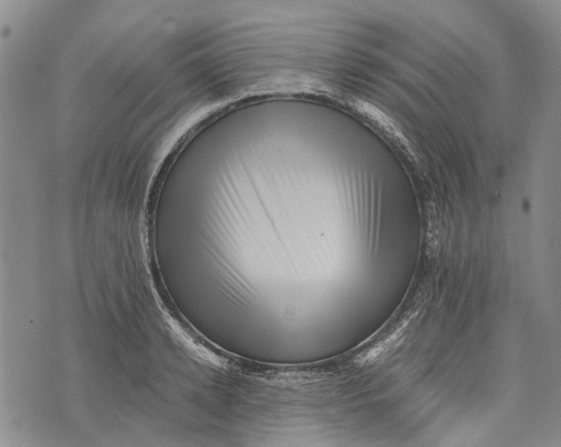X0000072920942200608111507
