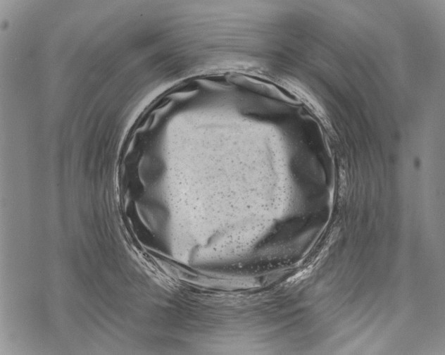 X0000072920948200608111507