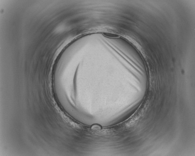 X0000072920949200608111507