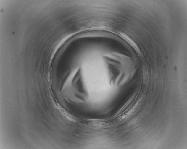 X0000072920956200608111507