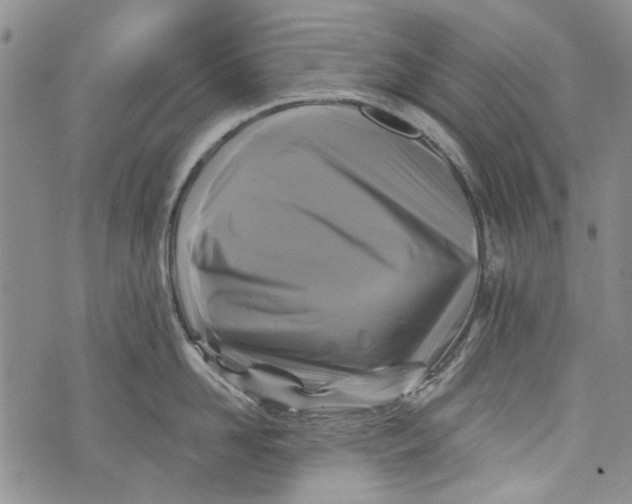 X0000072920958200608111507