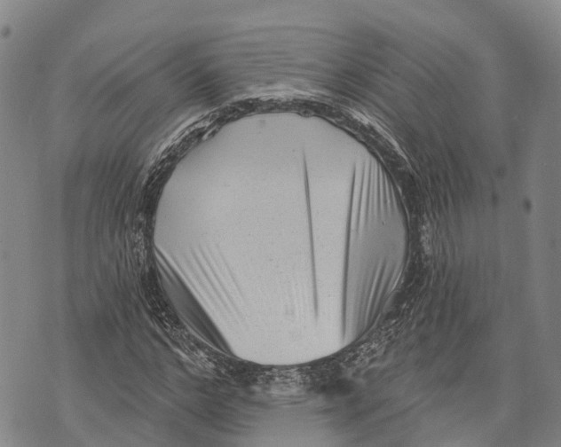 X0000072920968200608111506