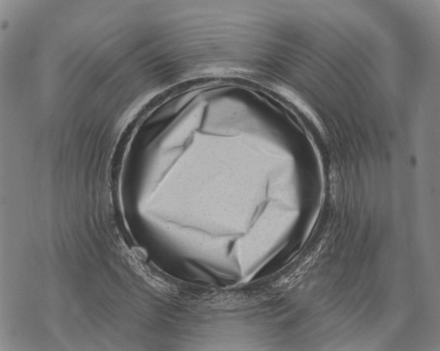 X0000072920972200608111506