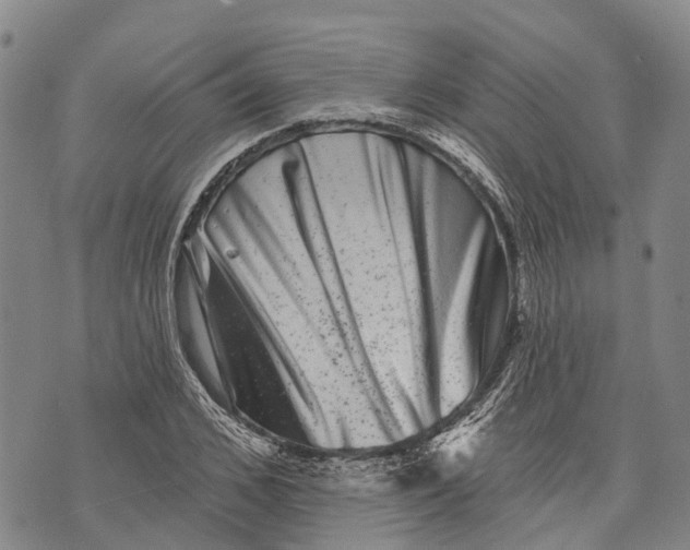 X0000072920976200608111506