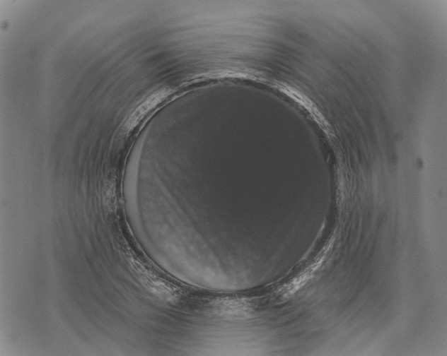 X0000072920977200608111506