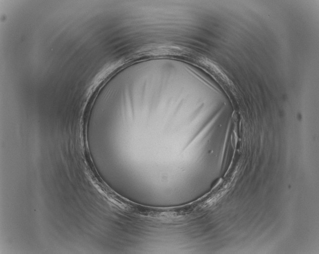 X0000072920986200608111506