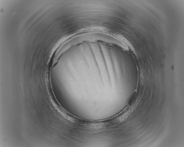 X0000072920989200608111506