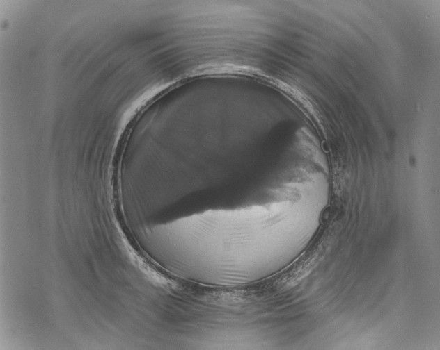 X0000072920995200608111506