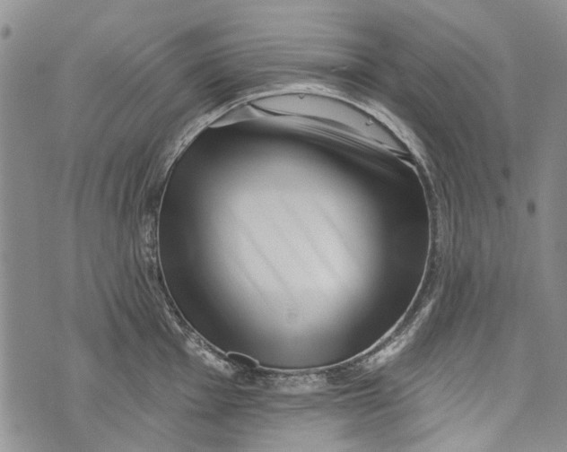 X0000072921001200608111505
