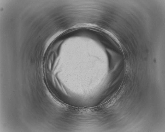 X0000072921003200608111505