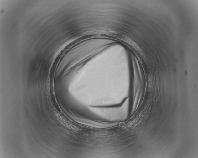X0000072921020200608111505