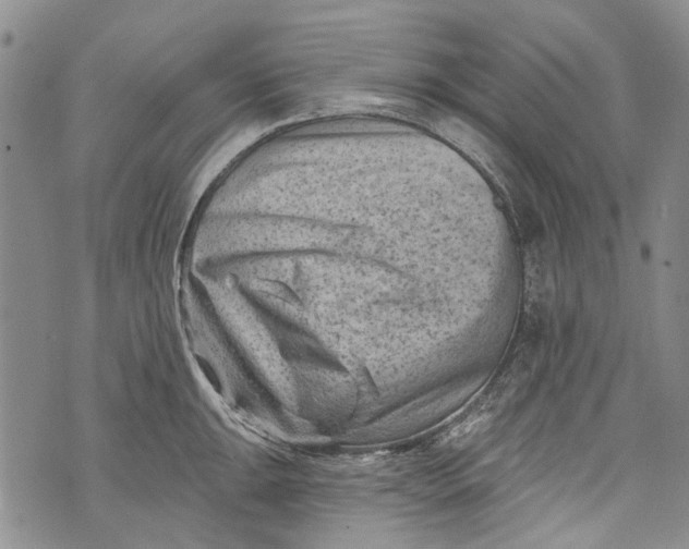 X0000072921047200608111505