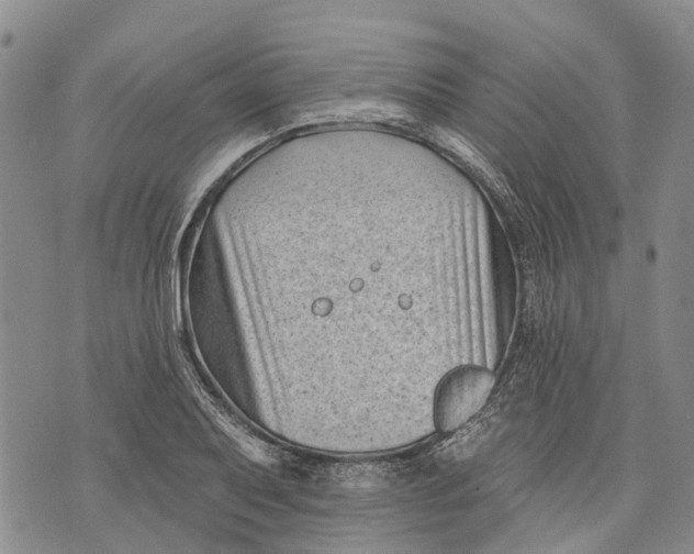 X0000072921079200608111504