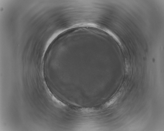 X0000072921102200608111504