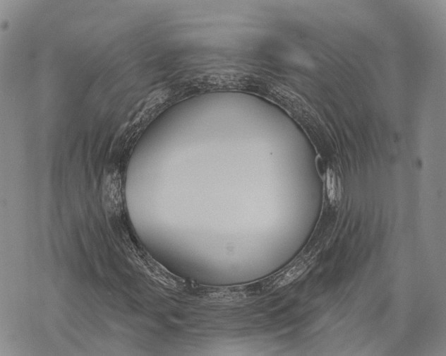 X0000072921107200608111503