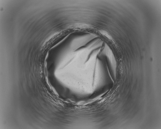 X0000072921112200608111503