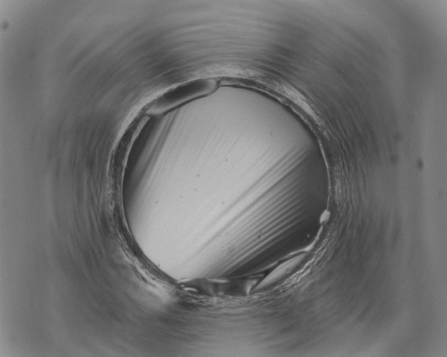 X0000072921116200608111503