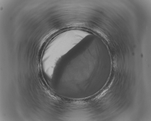 X0000072921117200608111503