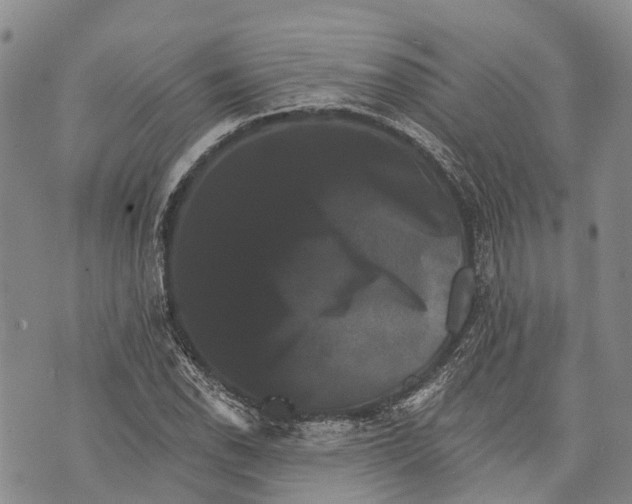 X0000072921118200608111503