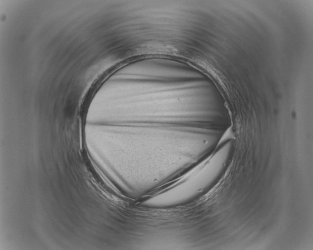X0000072921123200608111503