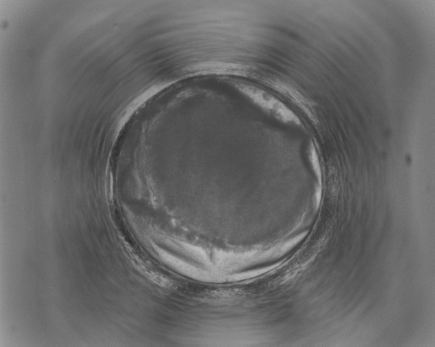 X0000072921125200608111503