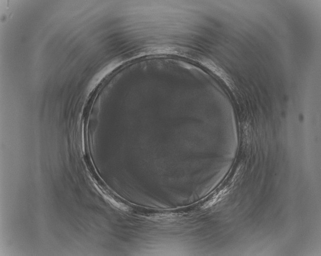 X0000072921127200608111503