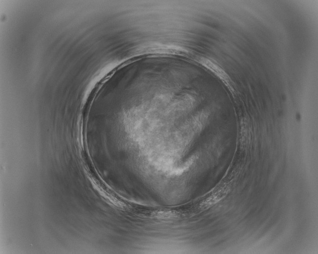 X0000072921128200608111503
