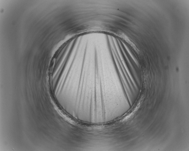 X0000072921134200608111503