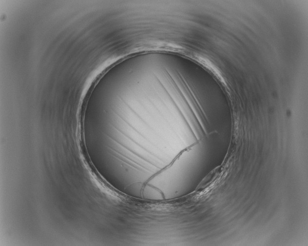 X0000072921136200608111503
