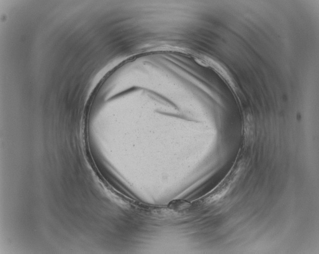 X0000072921149200608111504
