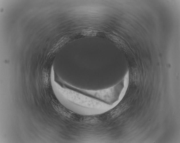 X0000072921154200608111503