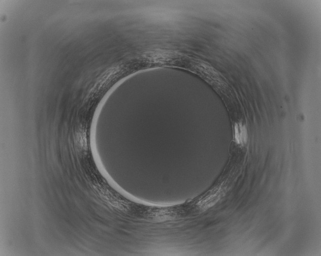 X0000072921155200608111503