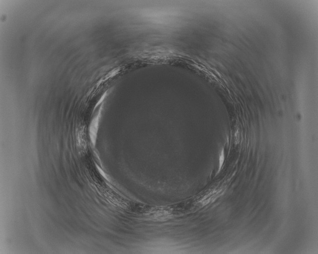 X0000072921156200608111503