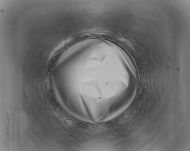 X0000072921159200608111503