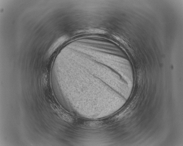 X0000072921163200608111503