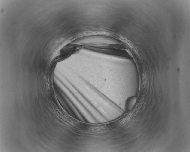 X0000072921165200608111503