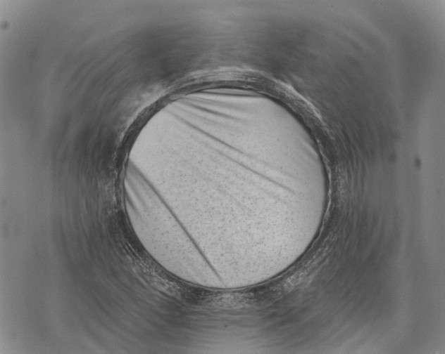 X0000072921166200608111503