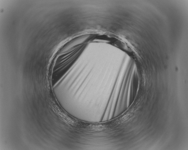 X0000072921168200608111503