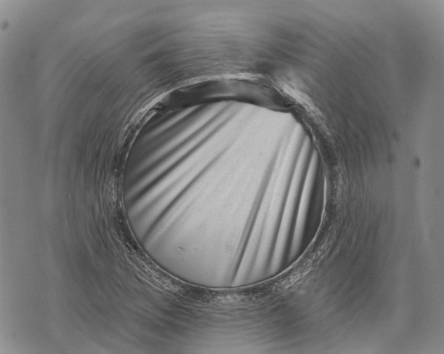 X0000072921169200608111503