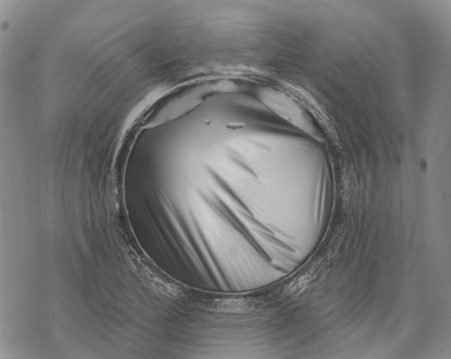 X0000072921172200608111503