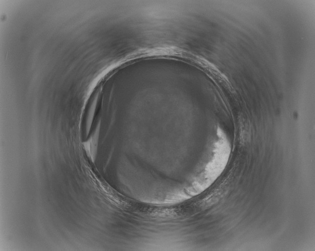 X0000072921174200608111503