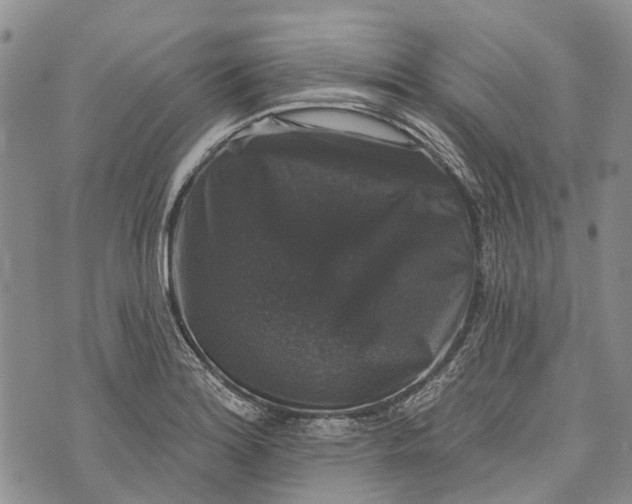 X0000072921180200608111503