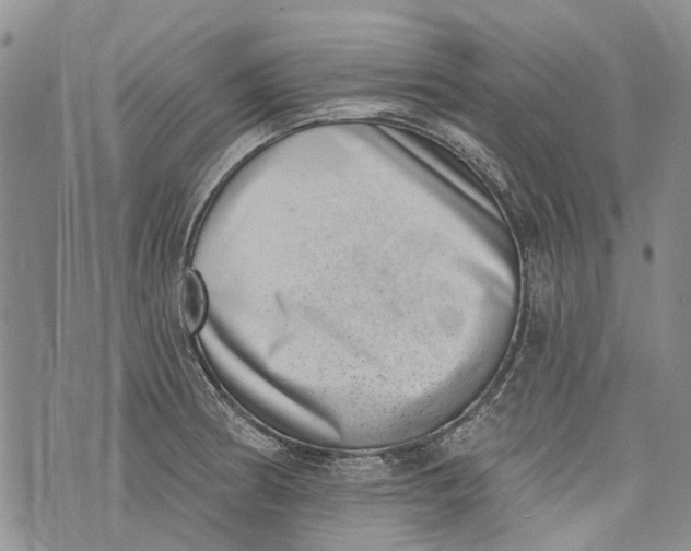 X0000072921186200608111502