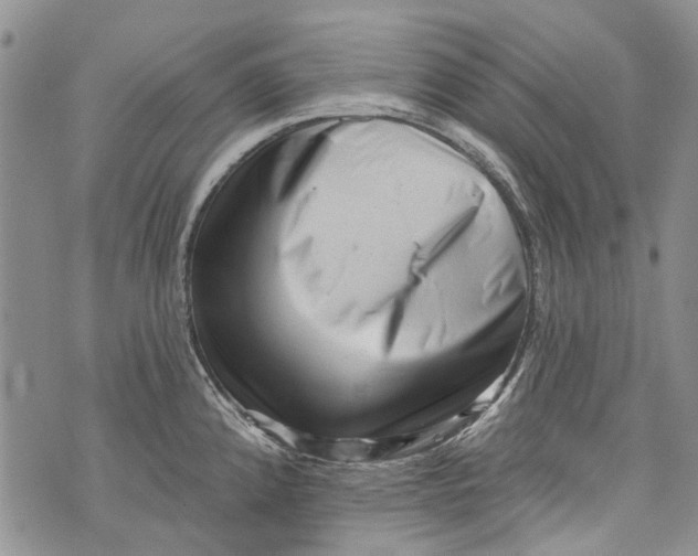 X0000072921192200608111502