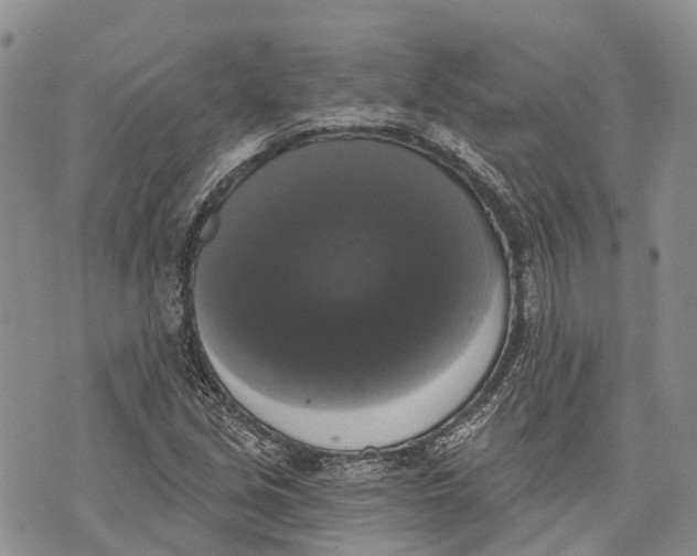 X0000072921213200608111502