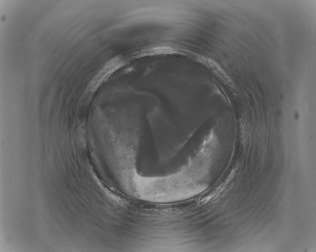 X0000072921225200608111502