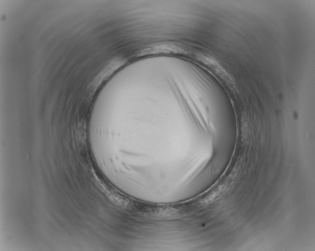 X0000072921233200608111502