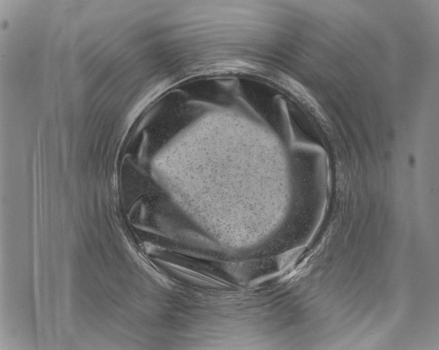 X0000072921234200608111502
