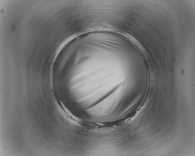 X0000072921246200608111502